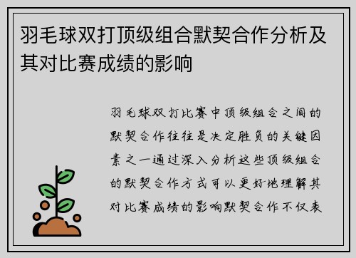 羽毛球双打顶级组合默契合作分析及其对比赛成绩的影响